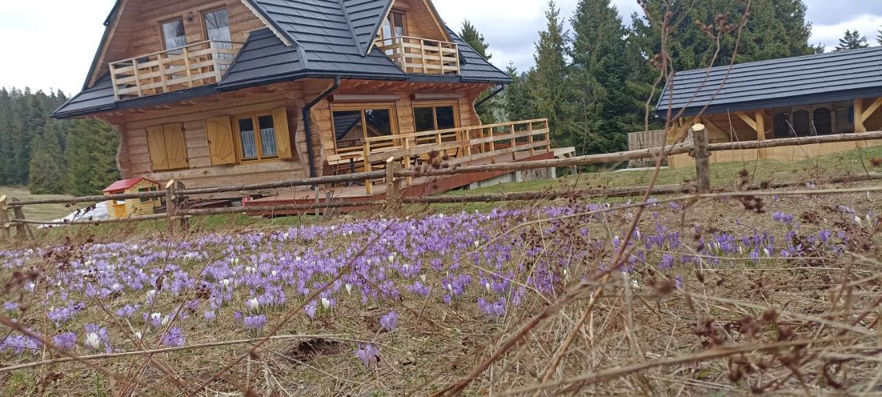 Вілла Gosciniec Dziubasowki Новий Тарг Екстер'єр фото